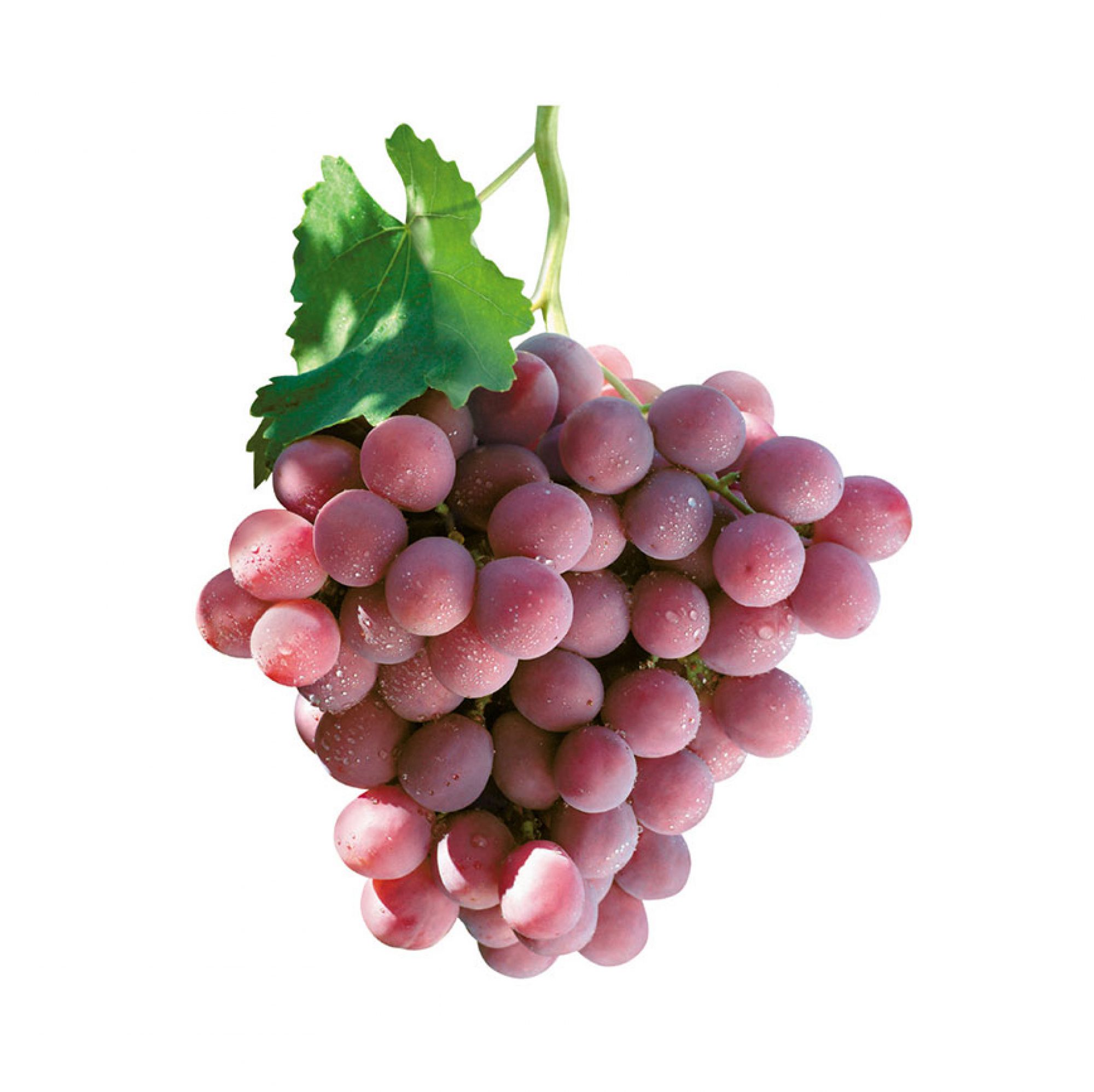 Table Grapes Fruits From Chile