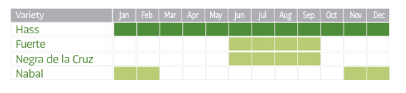 Avocado Harvest Chart