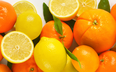 Chilean Citrus Season Projects Volume Increase to the U.S. Market