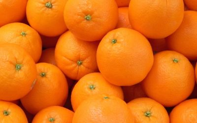 Chilean Mandarin Season Begins With Shipments to the U.S. & Canada