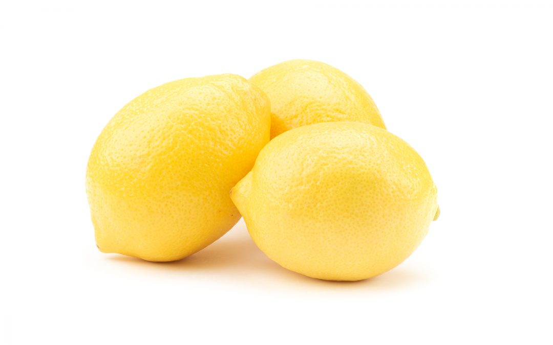 Chilean Lemon Season in Full Swing_Press Release