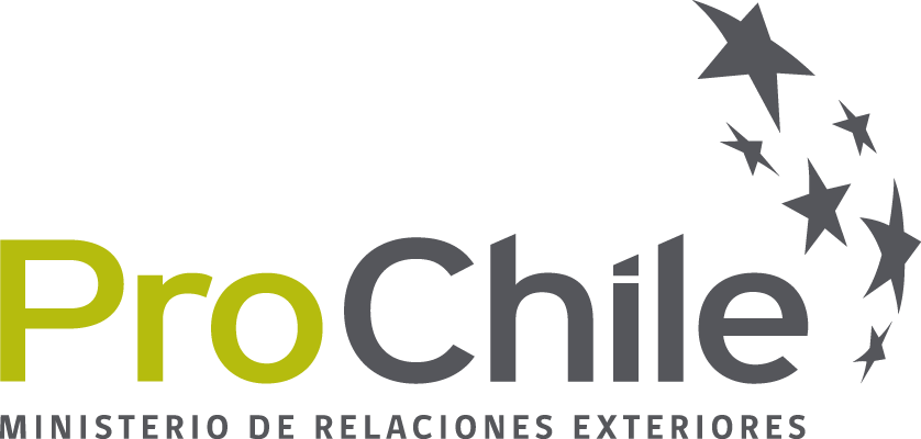 Logo ProChile 19