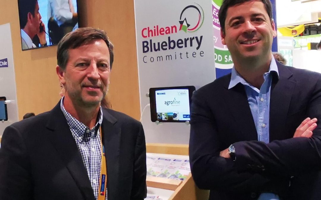 New President of Chilean Blueberry Committee