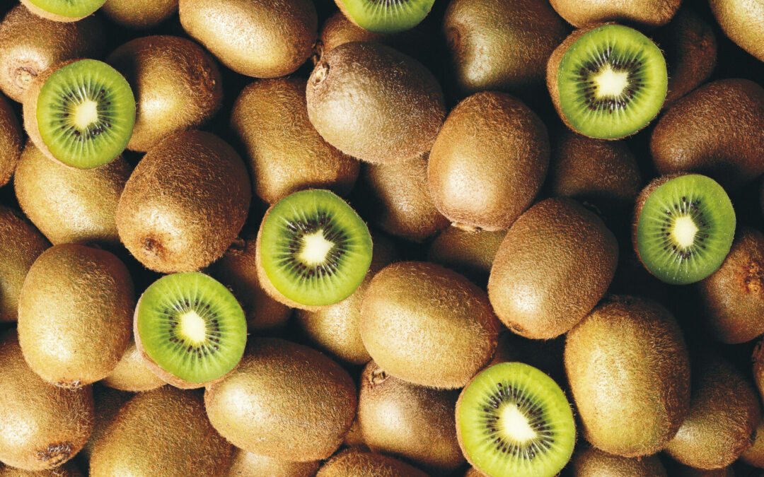 Chilean kiwi season ends with slight increase over estimated volumes.
