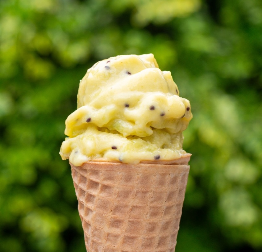 Frozen Kiwifruit Mousse (Ice Cream)